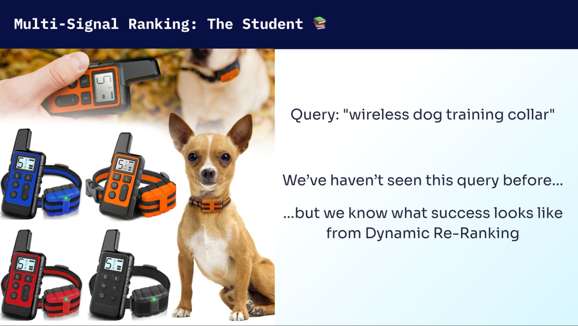 msr_the_student.jpg