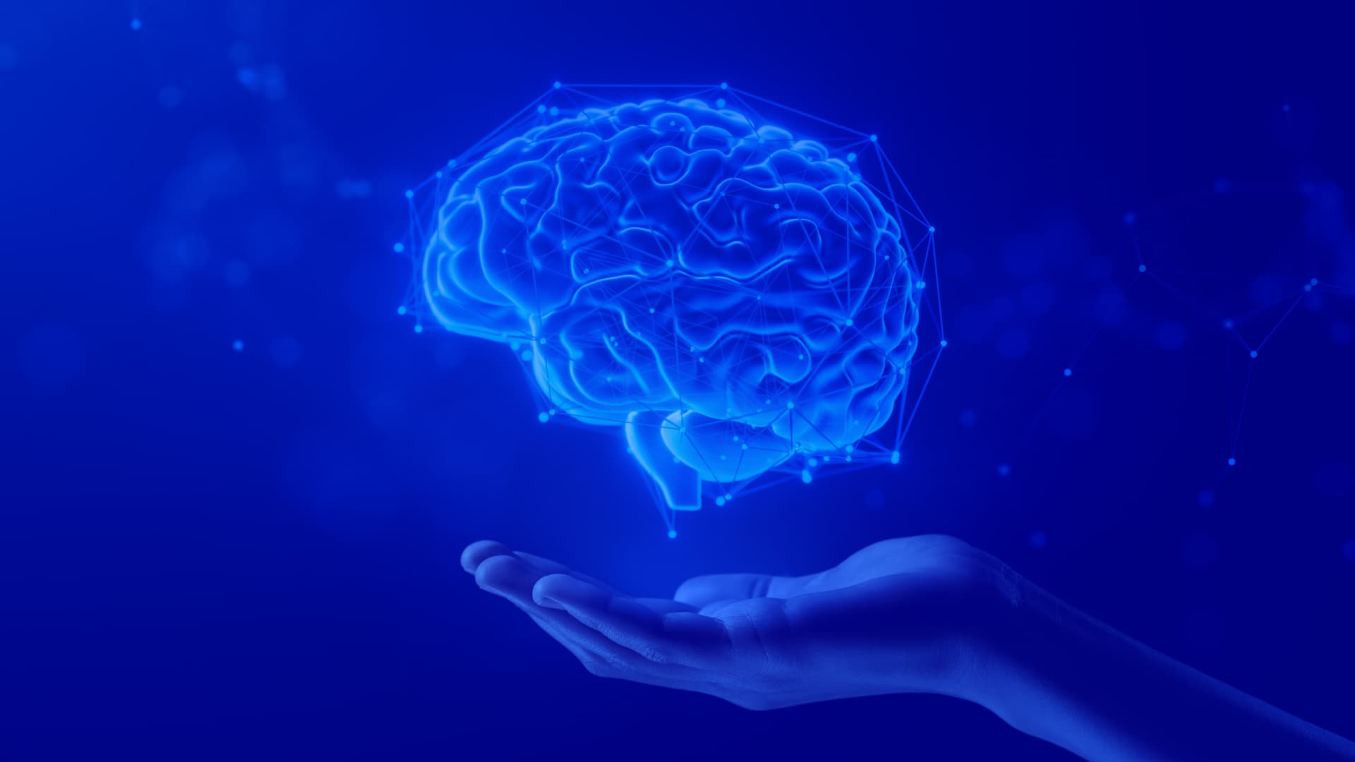 Introducing Adaptive Intent: a better way to understand search intent