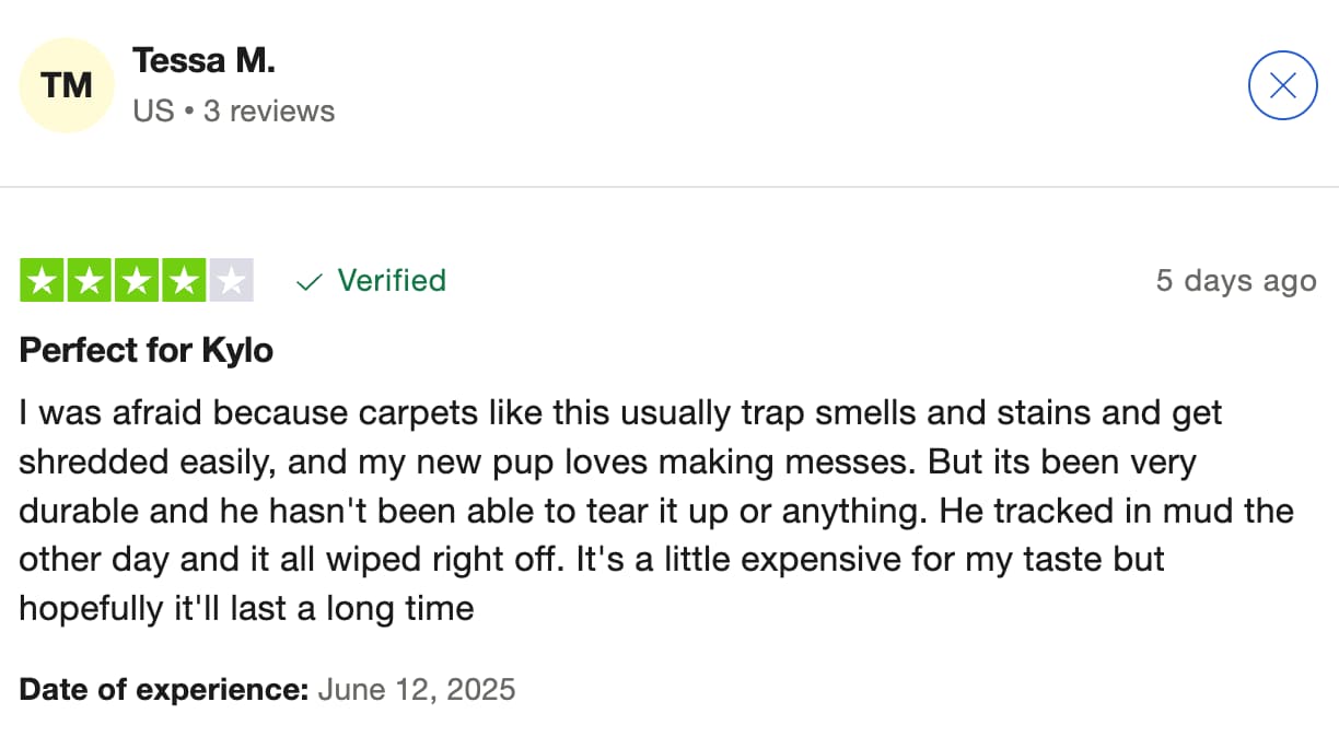 user-review.jpg