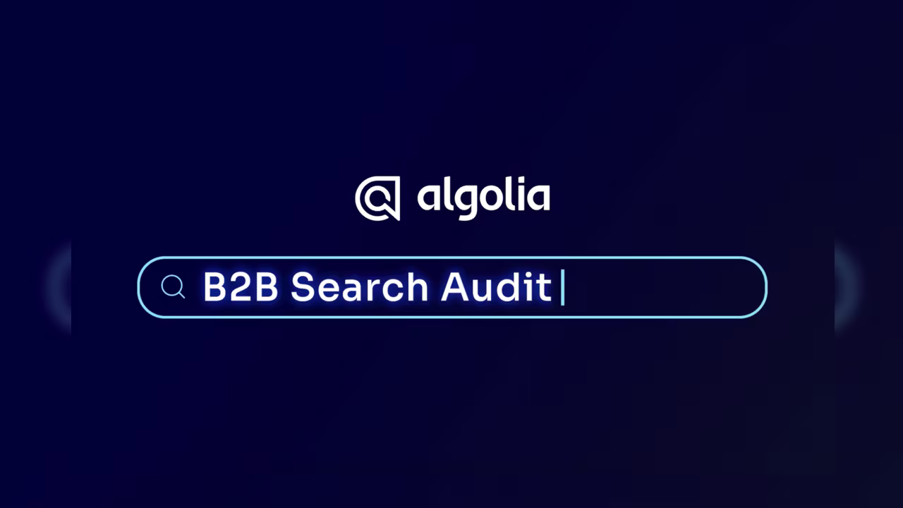 B2B Search Audit