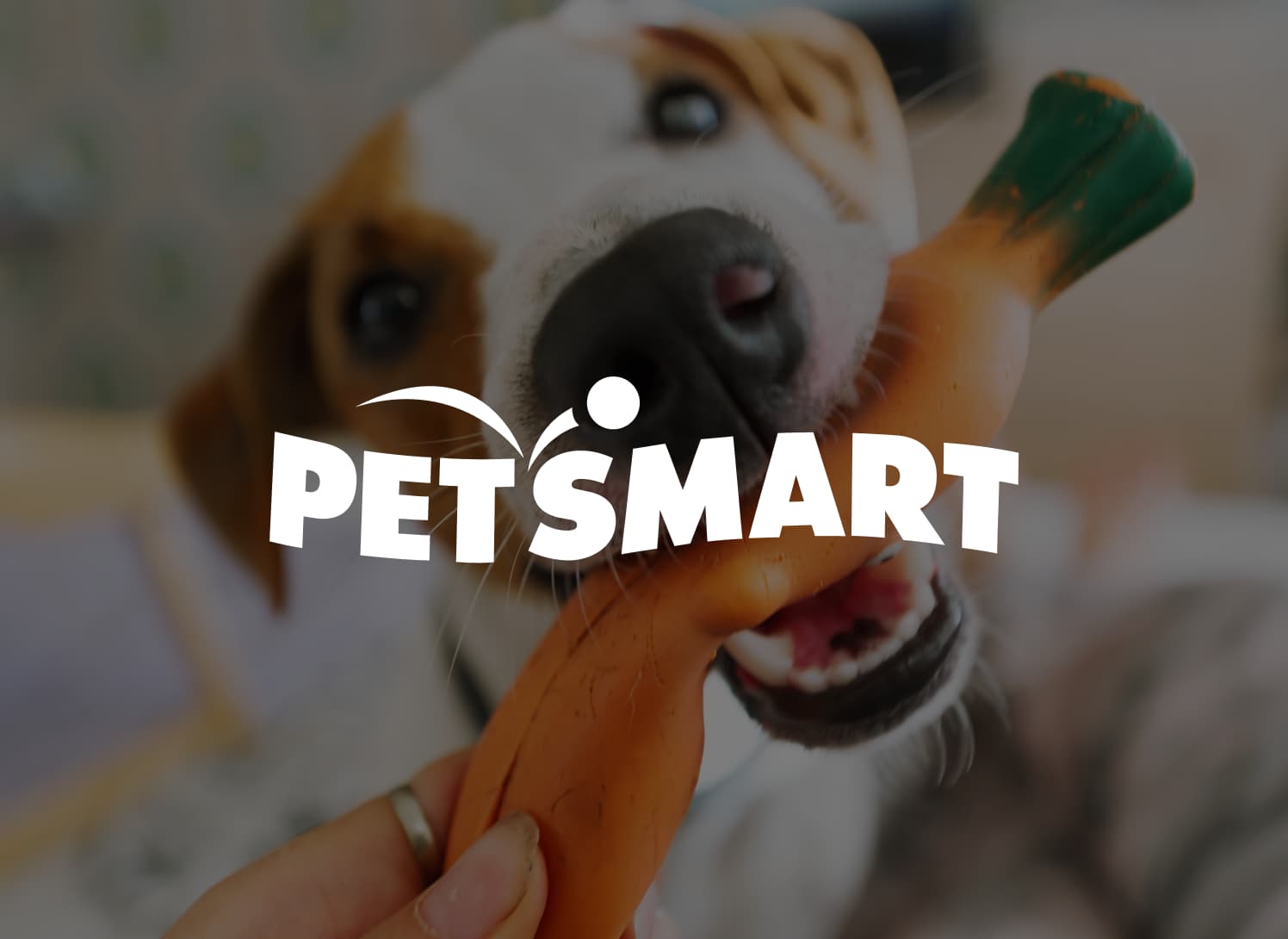 PetSmart